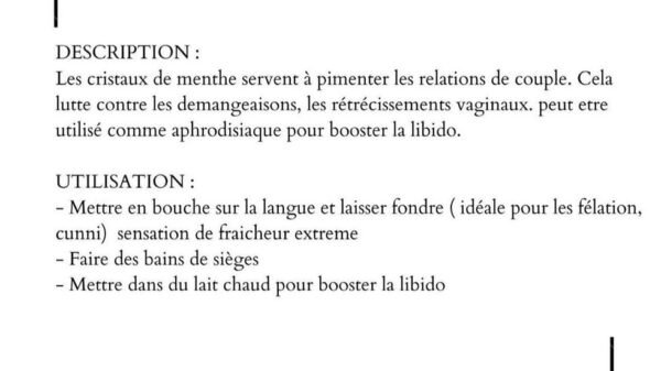 Cristaux de menthe (10g) - Image 2